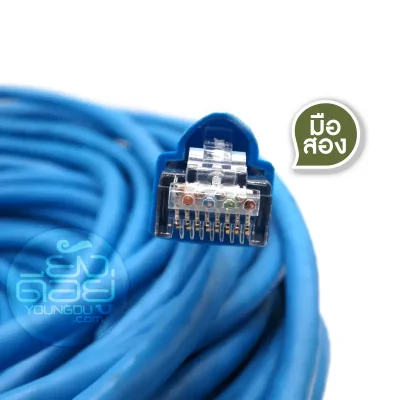 หัว LINK บนสายแลน CAT6 Panduit สีฟ้า ยาว 60 เมตร