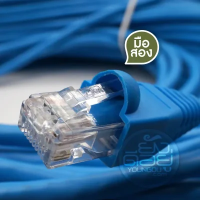 หัว LINK บนสายแลน CAT6 Panduit สีฟ้า ยาว 60 เมตร