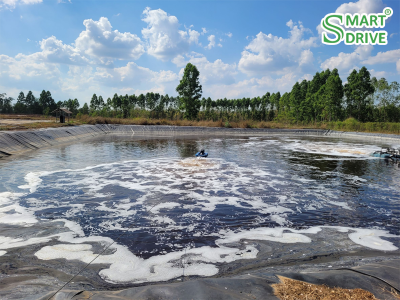 บ่อบำบัดน้ำเสีย