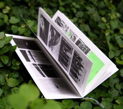Zine : DAN’Leaf in the woods