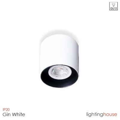 GIN C
