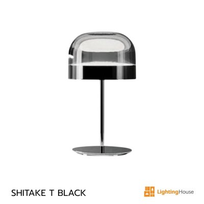 SHITAKE T