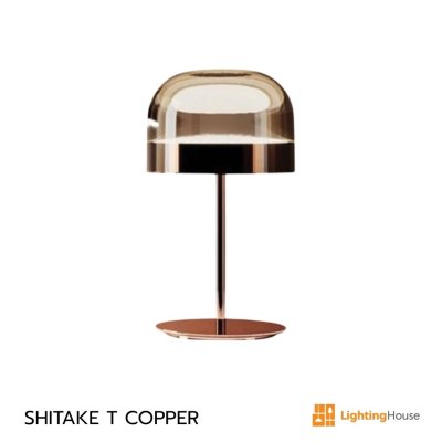 SHITAKE T