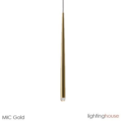 MIC