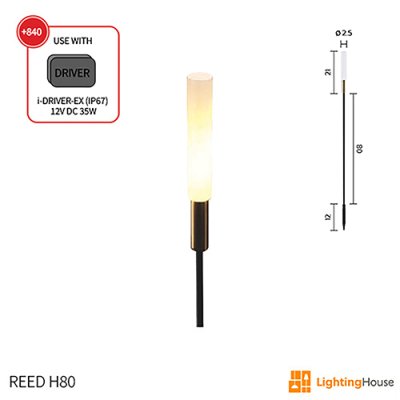 REED H80
