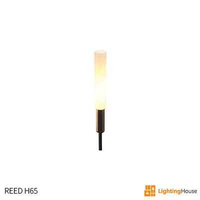 REED H65