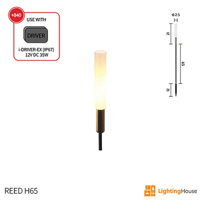 REED H65