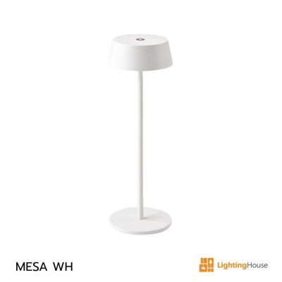 MESA