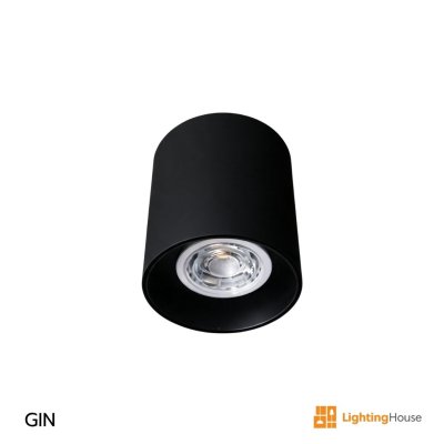 GIN