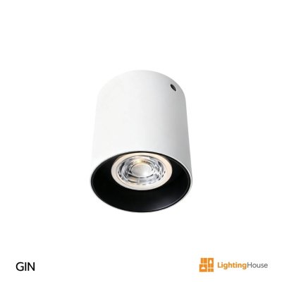 GIN