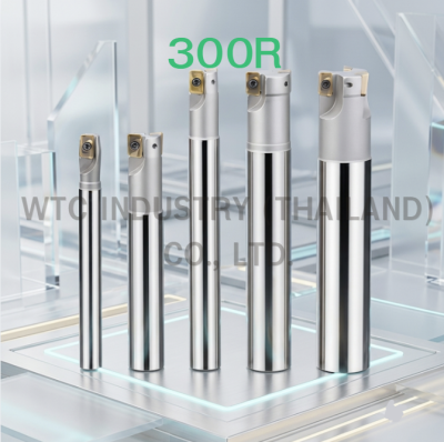 ด้ามกัด HOLDER BAP 300R C20-21-150-2T