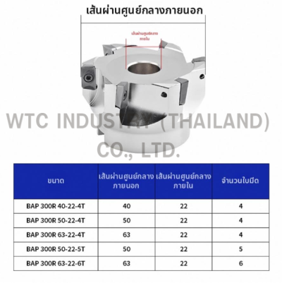 BAP 300R 50-22-5T