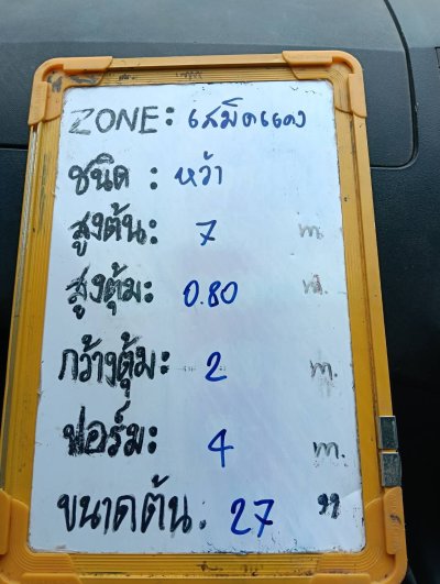 ต้นหว้า