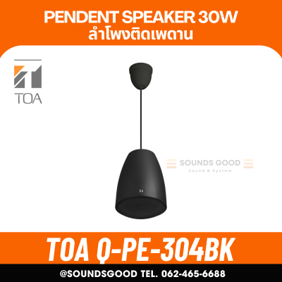 TOA Q-PE-304BK - ลำโพงติดเพดาน ขนาด 5 นิ้ว 30 วัตต์ Pendent Speaker 30W 2 Way