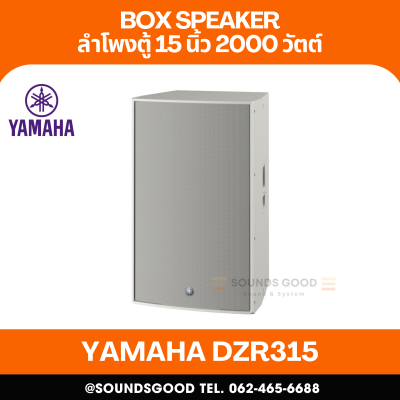 YAMAHA DZR315 | ตู้ลำโพง 3 ทาง 15 นิ้ว 2,000 วัตต์ มีแอมป์ขยายในตัว