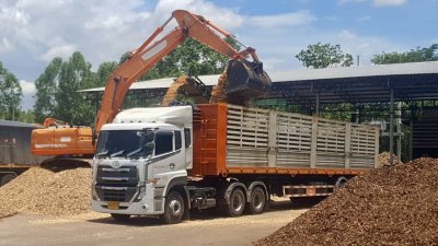 ไม้สับ (Wood chips)