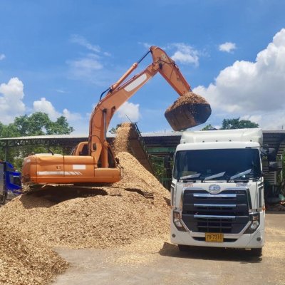 ไม้สับ (Wood chips)