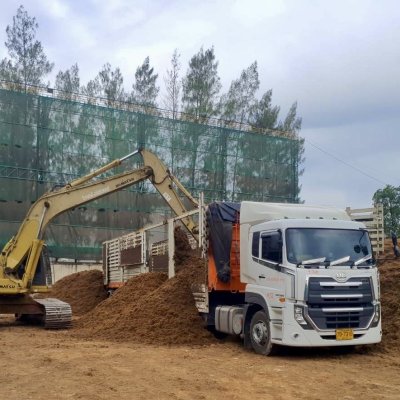 เส้นใยปาล์ม (Palm Fiber)