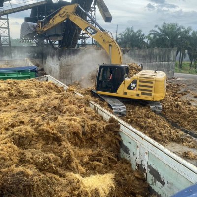 ทะลายปาล์มเปล่า (Empty Fruit Bunch)