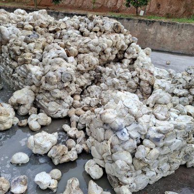 CUP LUMP RUBBER