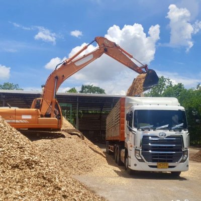 ไม้สับ (Wood chips)