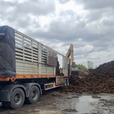 ทะลายปาล์มเปล่า (Empty Fruit Bunch)