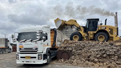 ทะลายปาล์มเปล่า (Empty Fruit Bunch)