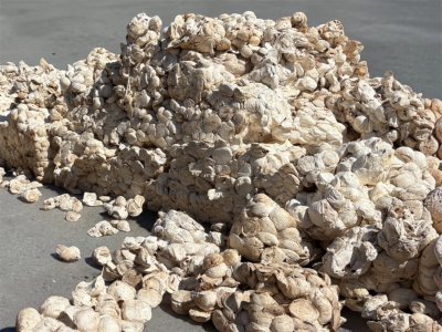 CUP LUMP RUBBER