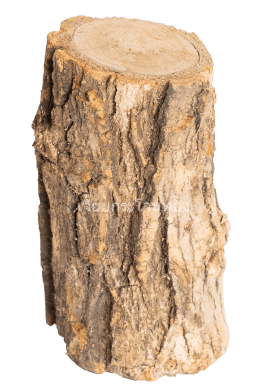 သနန်းခါသုံး