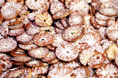 หมากหั่นบาง