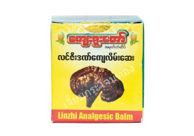 လင်ဇီအဟန်