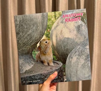 Anatomy Rabbit :  HooTok
