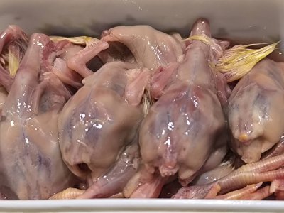 ลูกไก่ไร้ขน