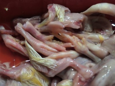ลูกไก่ไร้ขน
