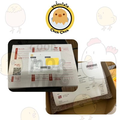 ลูกไก่ไร้ขน 4 ซอง
