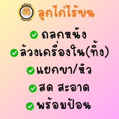 ลูกไก่ไร้ขน 4 ซอง