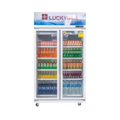 ตู้แช่เย็น 2 ประตู Lucky Star รุ่น CANYON 2082NE ขนาด 27Q