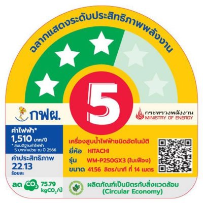 เครื่องปั๊มน้ำอัตโนมัติ Hitachi รุ่น WM-P250GX3CGO ขนาด 250 วัตต์