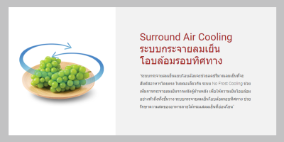 ตู้เย็น 2 ประตู HITACHI รุ่น HRTN5255MPSVTH ขนาด 8.5Q ตู้เย็น 2 ประตู HITACHI รุ่น HRTN5255MPSVTH ขนาด 8.5Q