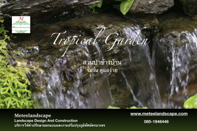 Tropical Garden