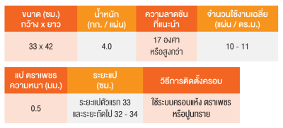 ลอน CT เพชร