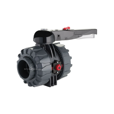 FIP - UPVC SCH80 Dual Block 2-Way Ball Valve BSPT