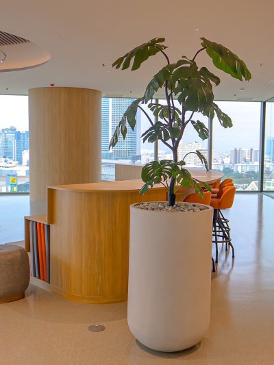 AIA Connect