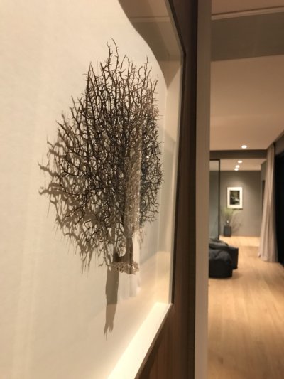 Urban Reserve
