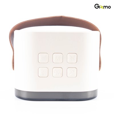 Gizmo Speaker Kits Colorful Karaoke ลำโพงบลูทูธพร้อมไมค์ไร้สาย รุ่น GLS-002