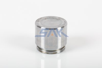 ลูกสูบดิสเบรค TT AE100-101, SOLUNA