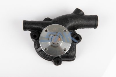 ปั้มน้ำ NS SD25 CMB