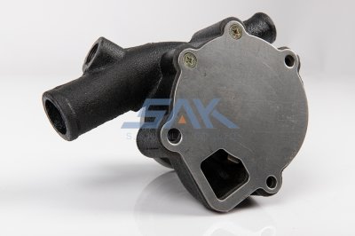 ปั้มน้ำ NS SD25 CMB