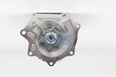 ปั้มน้ำ NS BIGM ๑๒๑