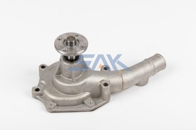 ปั้มน้ำ TT RN25คอยาว, RT100 ๑๒๑